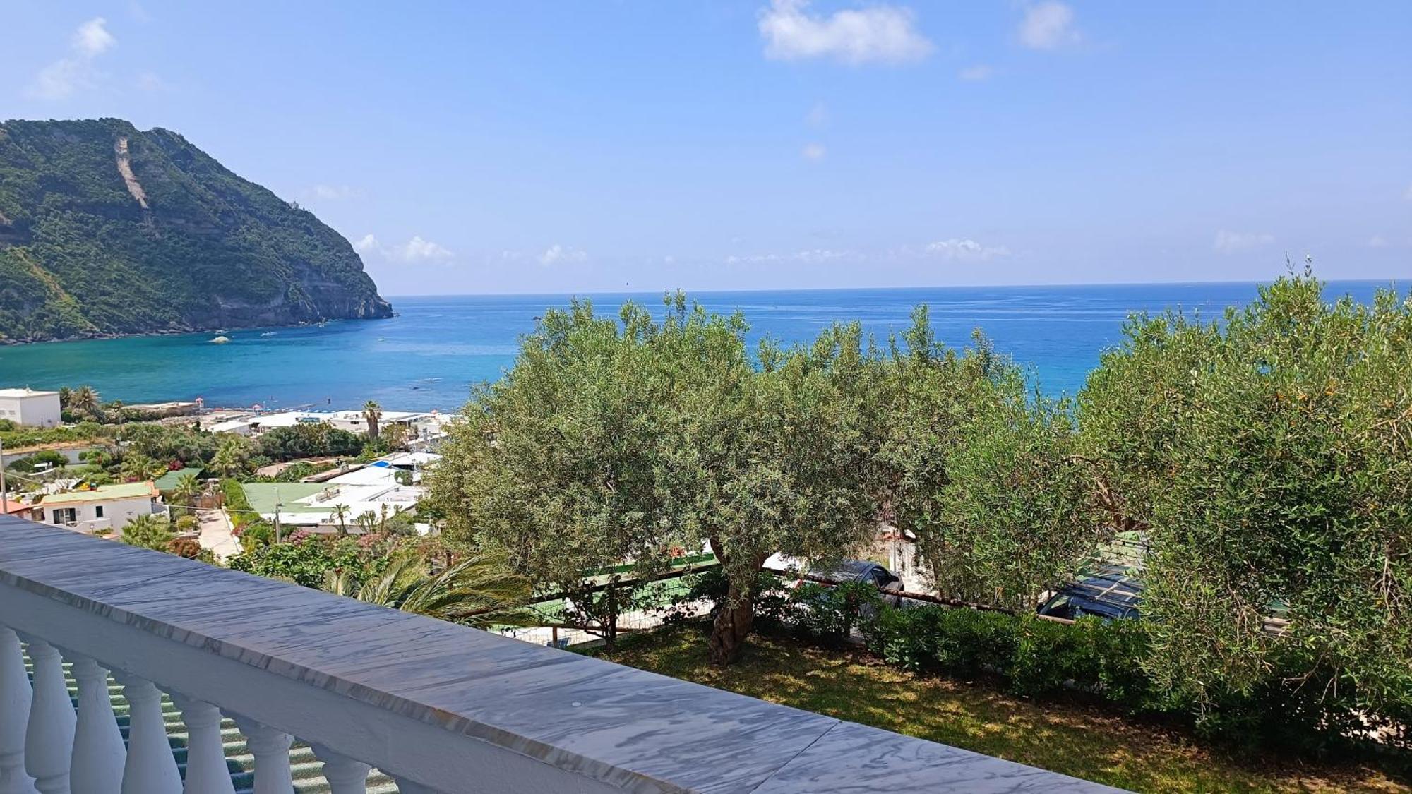 Apartment La Dea Del Mare Forio (Isola d'Ischia)