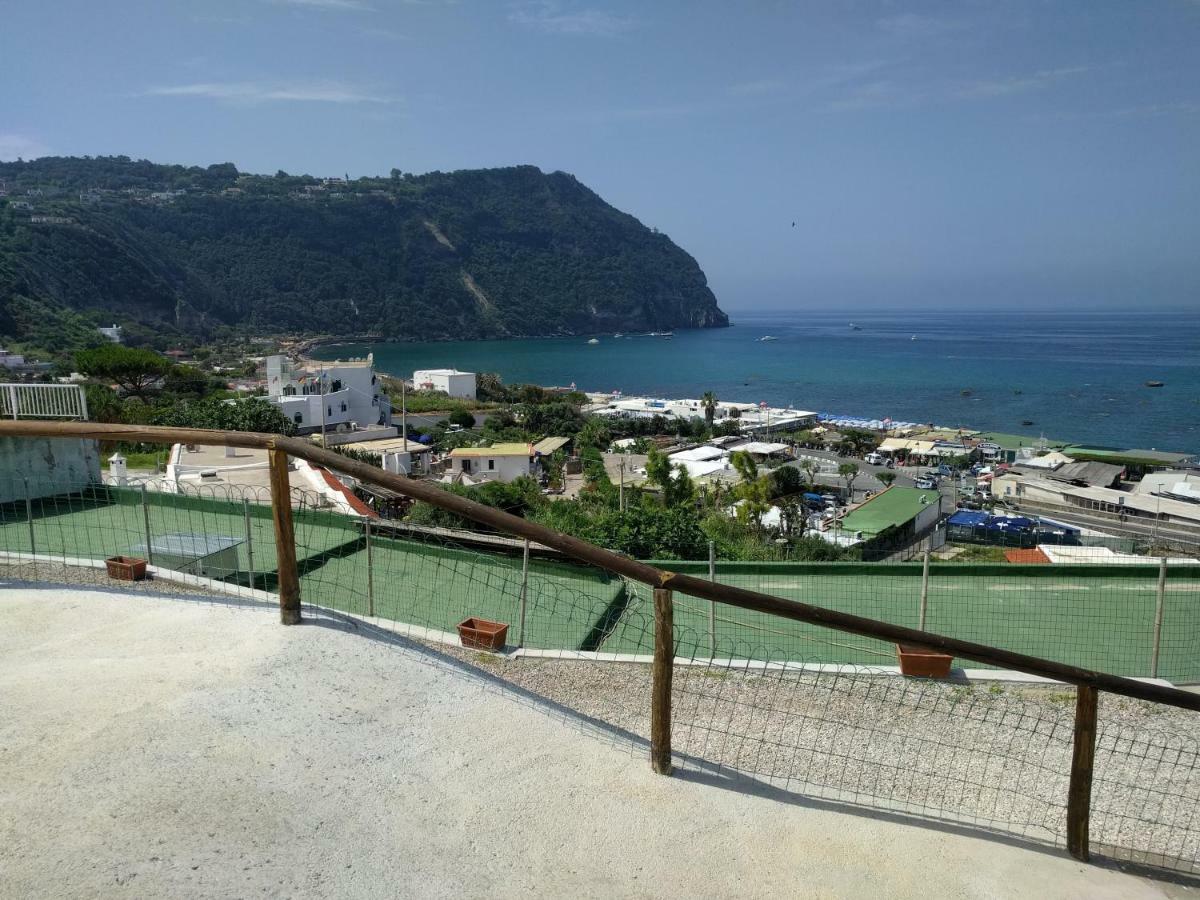 La Dea Del Mare Forio (Isola d'Ischia)