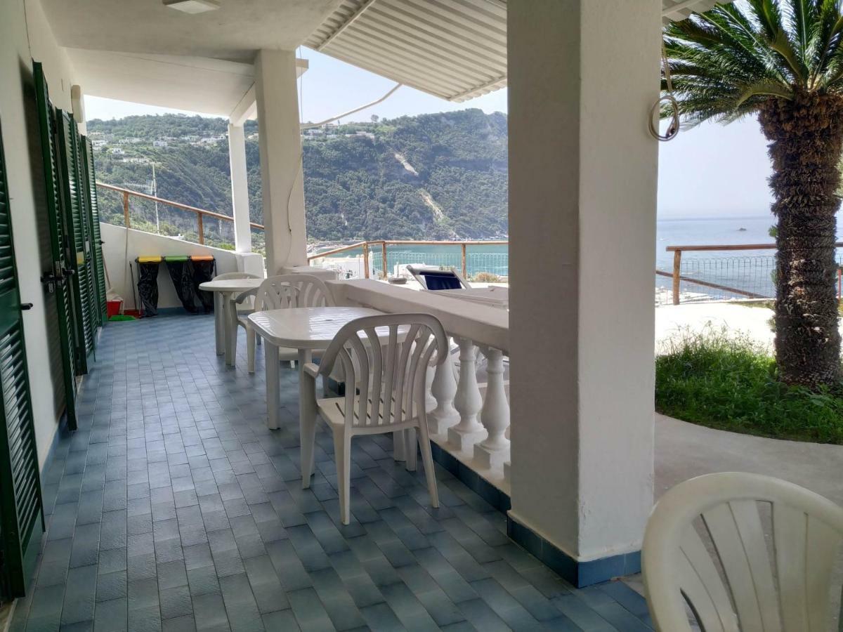 Apartment La Dea Del Mare Forio (Isola d'Ischia)